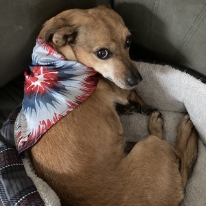 Fundraising Page: Michele Talley